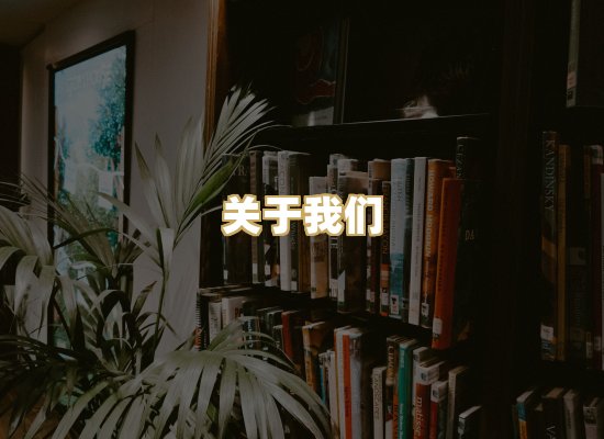 关于我们